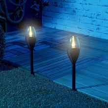 Bright Sol Pathway Lantern